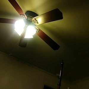 Meet your Posher, Irma